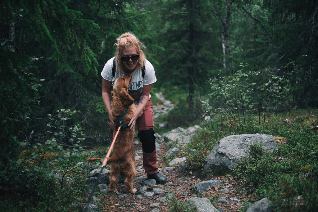 Tips for Backpacking with Dogs